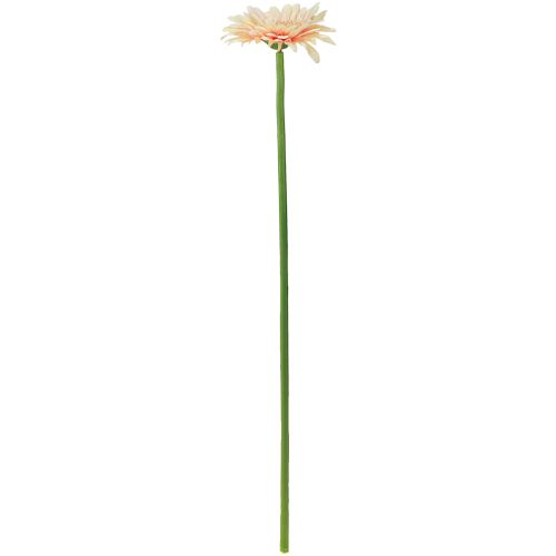 tételeket Művirág Gerbera Sárgabarack 47cm