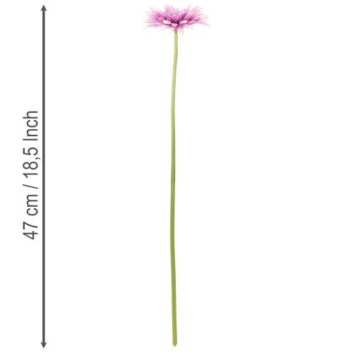 Műgerbera kerti virágok, lila, 47 cm, 6 darab | Floristik24.hu