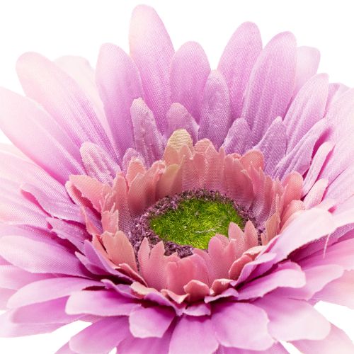 Műgerbera kerti virágok, lila, 47 cm, 6 darab | Floristik24.hu