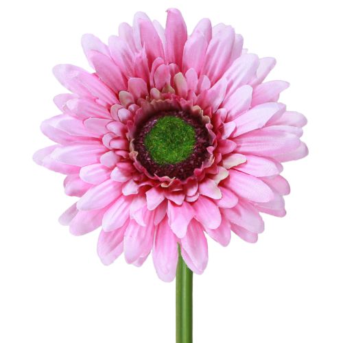 Művirágok Gerbera Kert Művirágok Pink 47cm