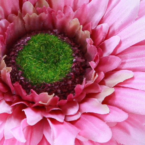 tételeket Művirágok Gerbera Kert Művirágok Pink 47cm