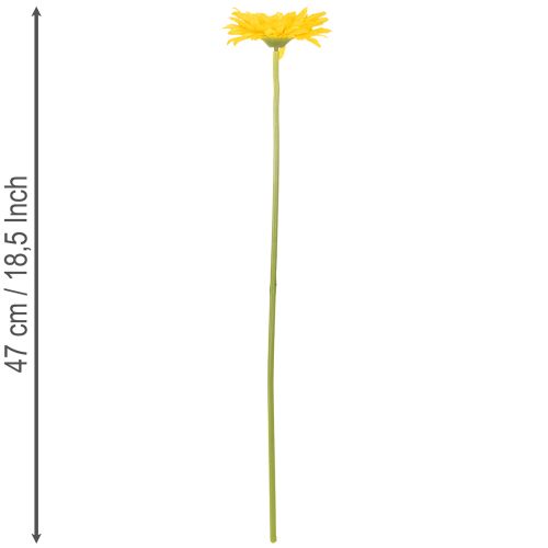 Műgerbera virágok, napsárga, kerti virág, 47 cm, 6 darab | Floristik24.hu