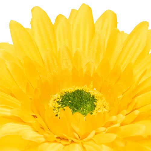 Műgerbera virágok, napsárga, kerti virág, 47 cm, 6 darab | Floristik24.hu
