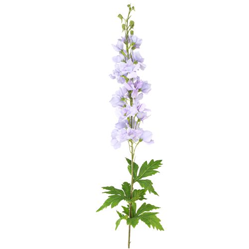 tételeket Művirágok Delphinium világoslila száron 90cm 2db