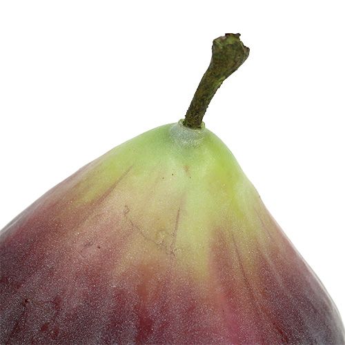 Floristik24 Műfüge kék-zöld 8,5cm