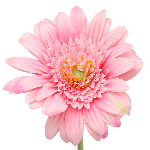 Floristik24 Mesterséges gerbera rózsaszín Ø10cm L53cm 6db