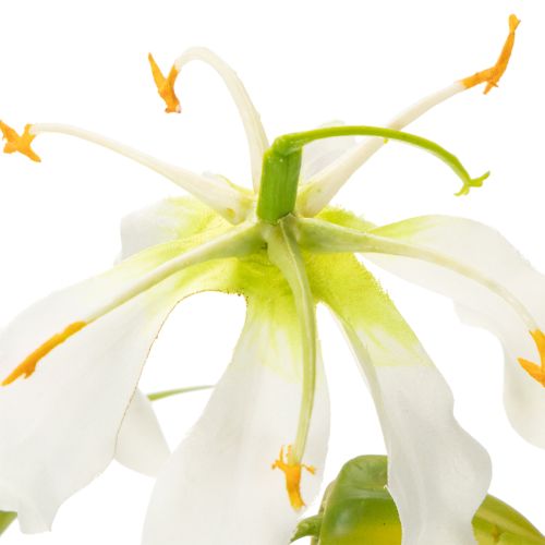 Művirág Gloriosa, fehér és sárga, elegáns virágág dekorációhoz, 80 cm, 3 darab | Floristik24.hu