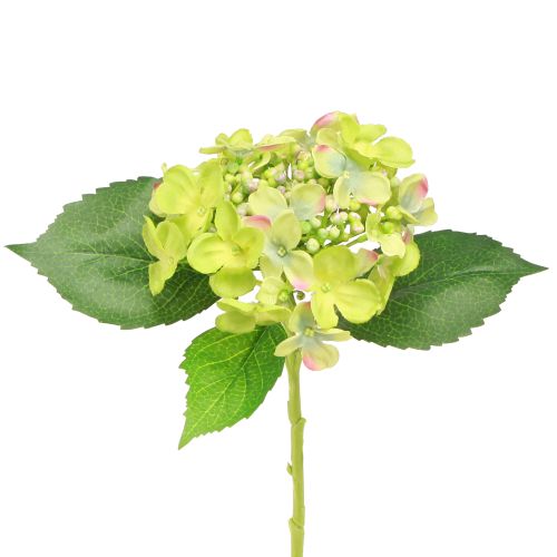 tételeket Mesterséges Hortenzia Zöld Virágok Levelek L43cm 2db