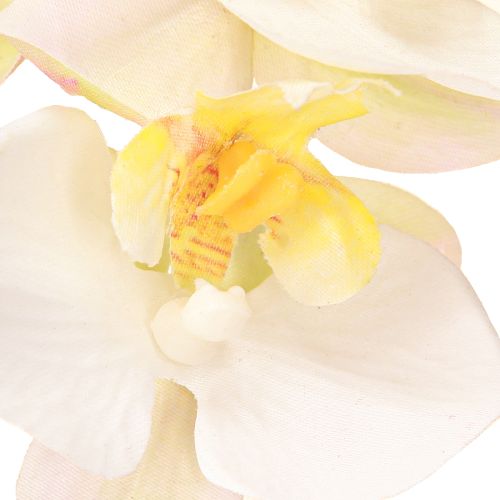 tételeket Mesterséges orchideák cserépben fehér mini orchideák Ø7cm H22cm