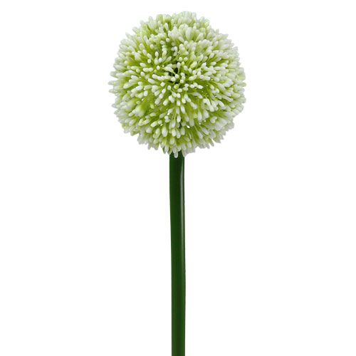 Floristik24 Artificial Allium White Ø10cm L65cm