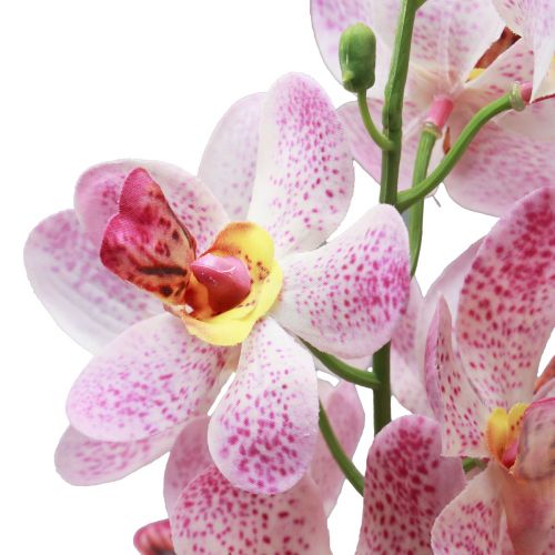 tételeket Mesterséges orchidea rózsaszín fehér művirág orchidea 73cm