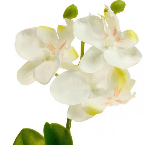 Floristik24 Mesterséges orchideák Művirág orchidea fehér 20cm
