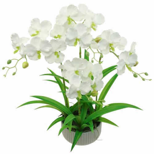 Floristik24 Mesterséges orchidea művirág cserépben fehér 60cm
