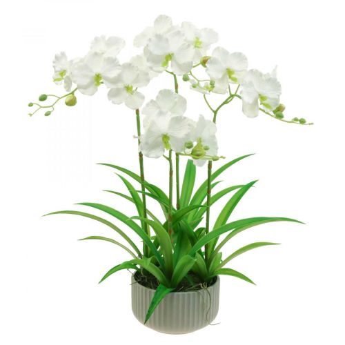 Floristik24 Mesterséges orchidea művirág fehér cserépben 60cm