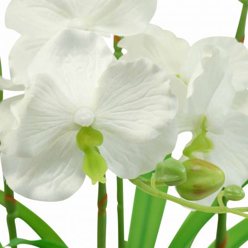 Floristik24 Mesterséges orchidea művirág cserépben fehér 60cm