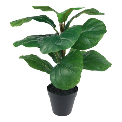 Floristik24 Cserepes mesterséges növény Ficus műnövény cserépben 42cm
