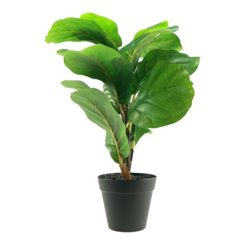 Floristik24 Cserepes mesterséges növény Ficus műnövény cserépben 42cm