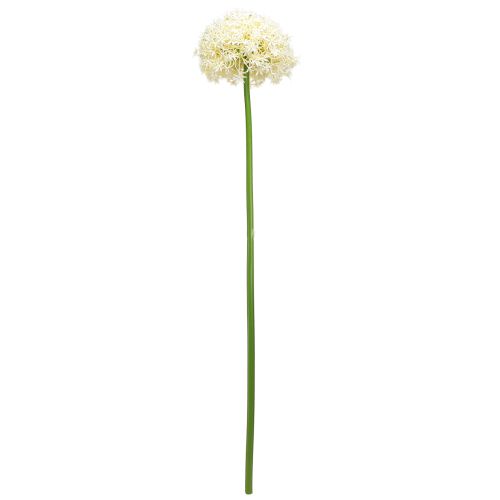 tételeket Artificial Allium Cream fehér díszhagyma Ø18cm L90cm