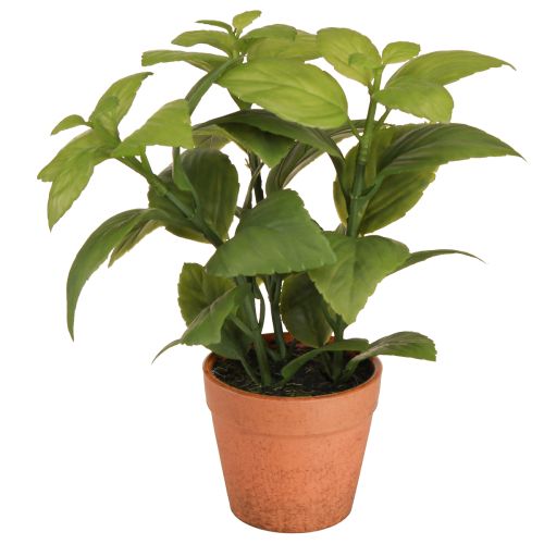 Floristik24 Mesterséges bazsalikom cserépben Fűszeres cserepes Műnövény 22cm 2db