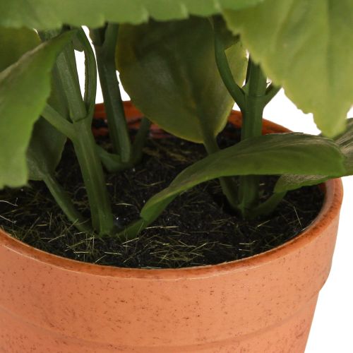 tételeket Mesterséges bazsalikom cserépben Fűszeres cserepes Műnövény 22cm 2db