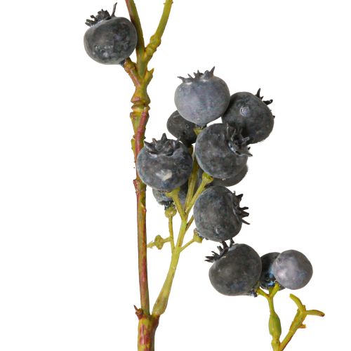 tételeket Áfonyás hatású mesterséges díszág