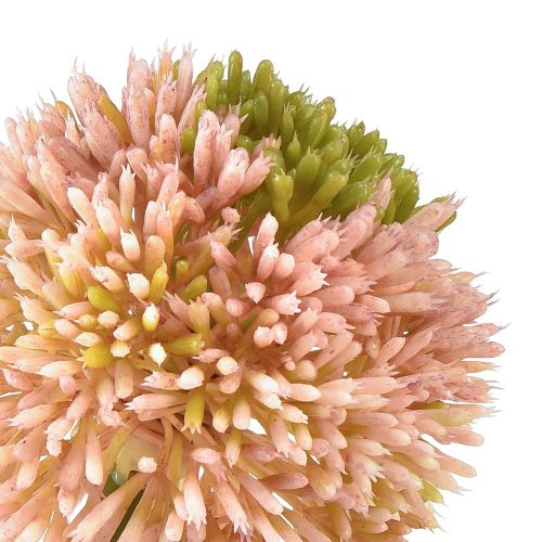 Floristik24 Mesterséges allium díszfokhagyma rózsaszín zöld Ø10cm L65cm