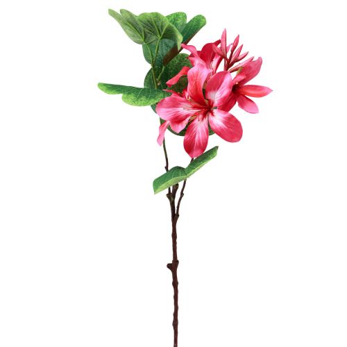 Floristik24 Mesterséges orchidea ág Bauhinia Pink műnövény 62cm