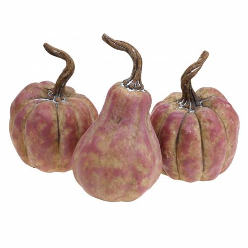 Floristik24 Mini sütőtök készlet narancssárga, lila Ø6,5-7cm 6 db