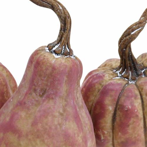 Floristik24 Mini sütőtök készlet narancssárga, lila Ø6,5-7cm 6 db