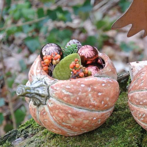 Floristik24 Ültetőtök Narancs 19×15×16cm