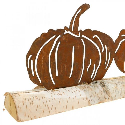 Floristik24 Tök rozsda és kéreg fém díszítés nyírfán 20×5cm H9cm