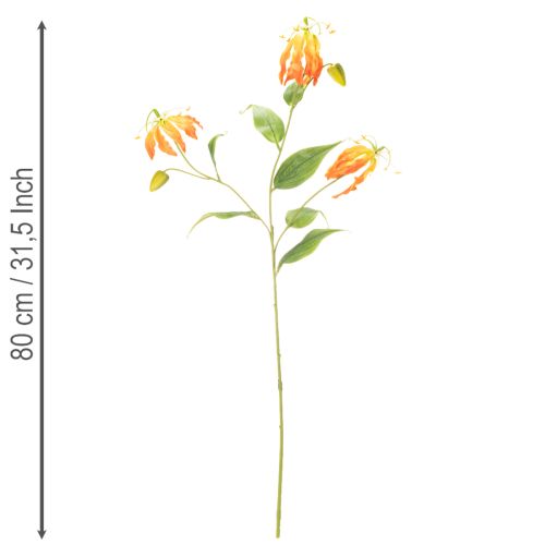 Művirág Gloriosa narancs hosszú szárral vázába 80cm 3db | Floristik24.hu