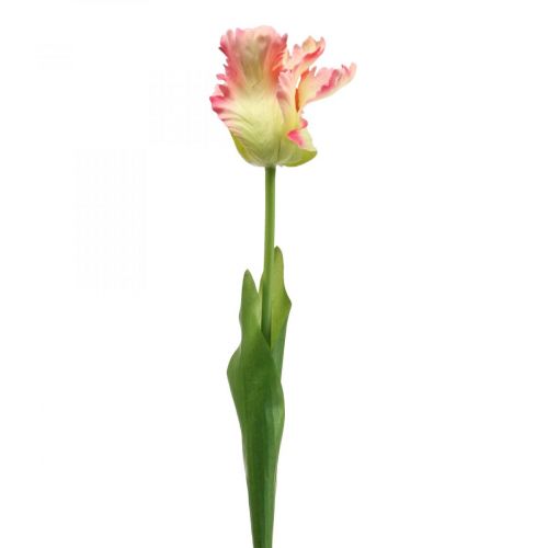 Floristik24 Művirág, papagáj tulipán rózsaszín, tavaszi virág 63cm