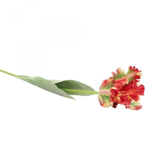 tételeket Művirág, papagáj tulipán piros sárga, tavaszi virág 69cm