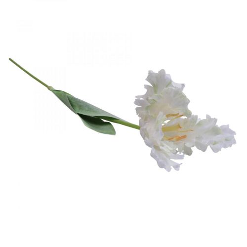 tételeket Művirág, papagáj tulipán fehér zöld, tavaszi virág 69cm