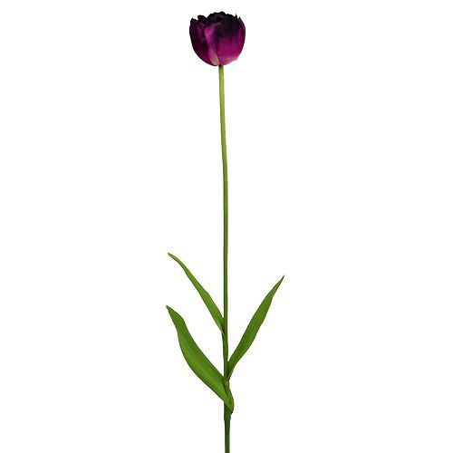 Floristik24 Művirág tulipán lila-zöld 84cm - 85cm 3db