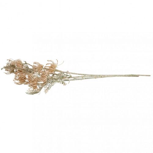 Floristik24 Művirág, Tűpárna virág, Leucospermum, Proteaceae mosott fehér L58cm 3db