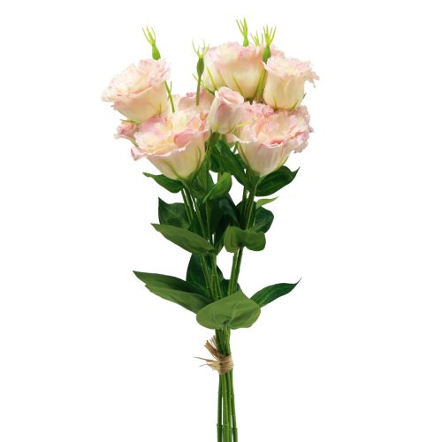 Floristik24 Művirágok Eustoma Lisianthus rózsaszín krém 52cm 5db