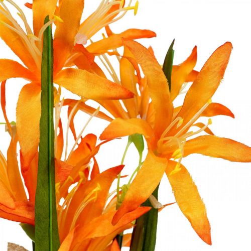 Floristik24 Művirágok Nerine Orange Guernsey Liliomok Őszi virágok 48cm