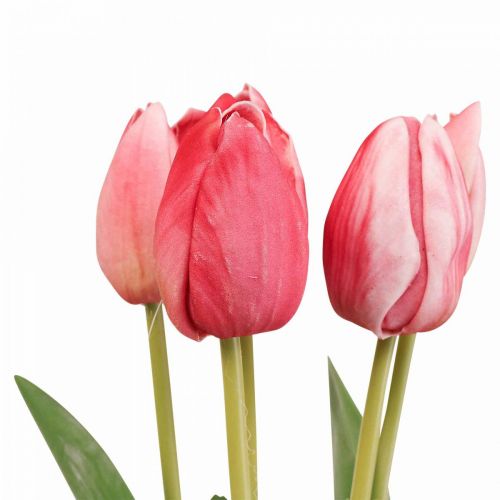 Floristik24 Műtulipán piros, tavaszi virág 48cm-es köteg 5 db