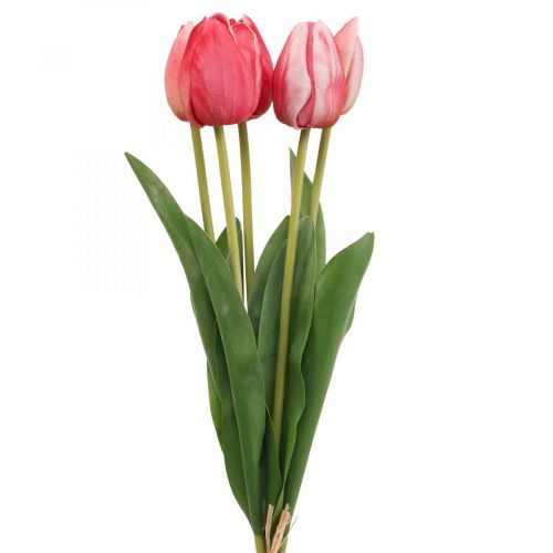 Floristik24 Műtulipán piros, tavaszi virág 48cm-es köteg 5 db
