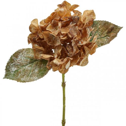 Floristik24 Kiszáradt mesterséges hortenzia Drylook őszi dekoráció L33cm