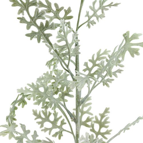 tételeket Mesterséges növények ezüstlevél fehér-zöld 40cm 6db
