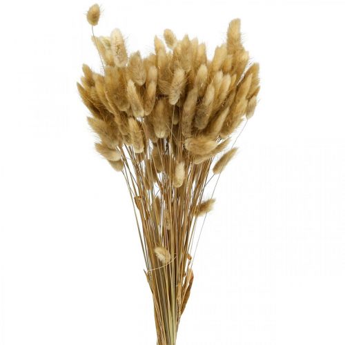 Floristik24 Lagurus szárított nyúlfarkú fű natúr 65-70cm 100g