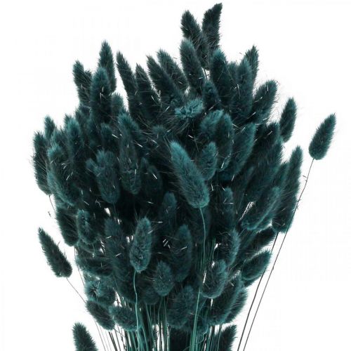 tételeket Lagurus szárított nyúlfarkfű sötétzöld 65-70cm 100g