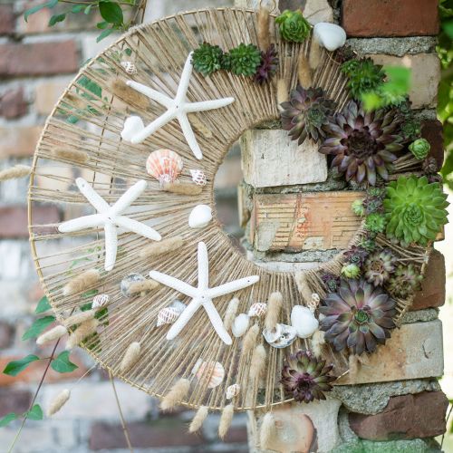 tételeket Lagurus szárított nyúlfarkfű színes 65-70cm 100g