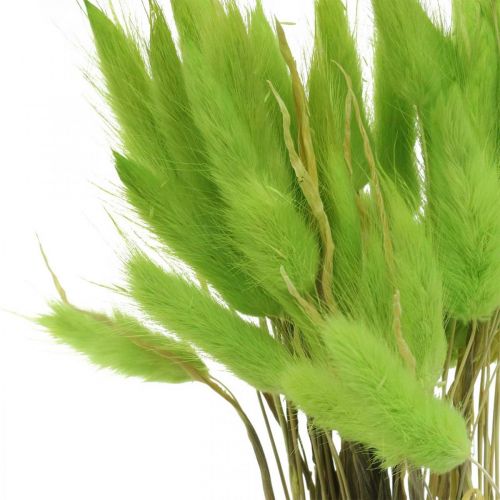 Bársonyfű zöld, lagurus, száraz díszítés, szárított édes fű L18-50cm 25g