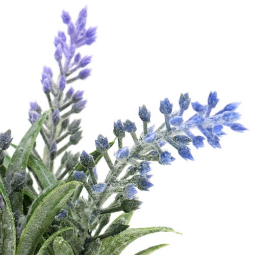 Floristik24 Levendula üvegben H15cm