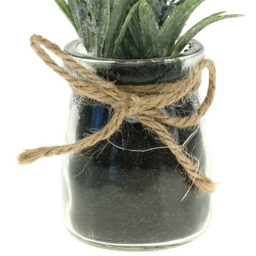 Floristik24 Levendula üvegben H15cm