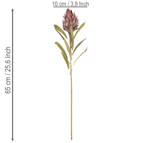 Protea művirág Leucadendron 100cm 3db | Floristik24.hu